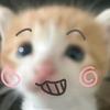 一颗豆