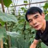 用户:刚洁