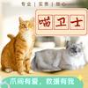 喵卫士-猫咪救援