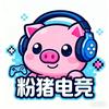 粉猪电竞