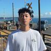 呆北浪游记