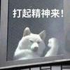 不知岛