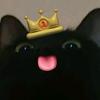 外设猫