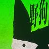 热情的野狗