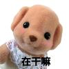 Buayoi _an(扩列版