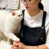 小柒猫知识