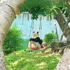 小李呀呀啦