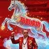 飛馬科技
