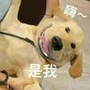 饮咩嘢