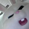 小鱼小松鼠