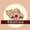 常安流浪动物救助中心 常安流浪动物救助中心