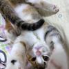 小min_