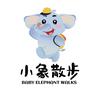 小象散步电子科技