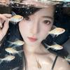 冰冰冰小鱼饼🐟「调整心情版」