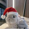 奶兔🐰·