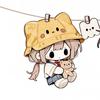 猪小钎