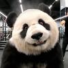 大熊vlog