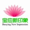 宝应新印象