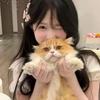小蝉喵