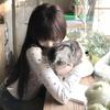 豹迟猫述