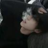 浏览请为我点赞