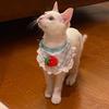 仿生猫会梦见电子瓜田吗
