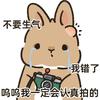 乱飞的无人机