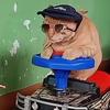gg