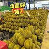 海岛七仙女佳盈生鲜专卖店