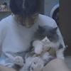马马