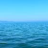 海之灵