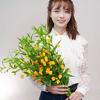 思芹花卉甄选号