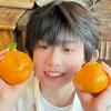 野生哼哼物料组