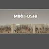 MINI FUSHI(男女集合店)官方号