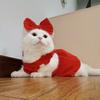 阿凡提🐶和糯米🐱的主理人