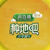 种地吧