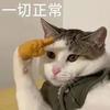 小段说考公