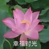 恋盖女装