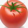 一颗小洋柿子🍅