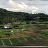 陈陈