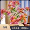 玖肆三角梅园