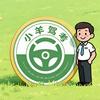 小羊驾考速记