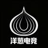 洋葱电竞（无畏契约代）