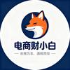 电商财小白