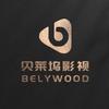 贝莱坞影视🎥