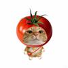 明月猫meme