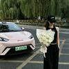 小瓶盖的比亚迪海鸥🚗