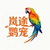 小闫养鹦鹉