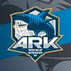 ARK篮球厂牌