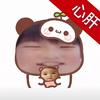 申请lm常见面